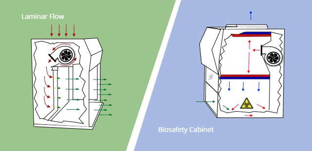 Laminar Flow vs Biosafety Cabinet